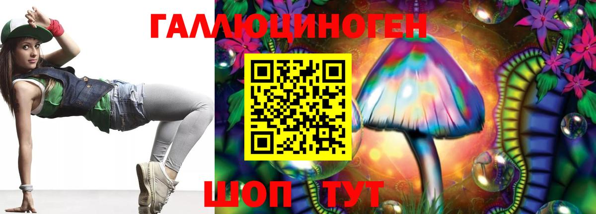 Псилоцибиновые грибы Cubensis Волхов
